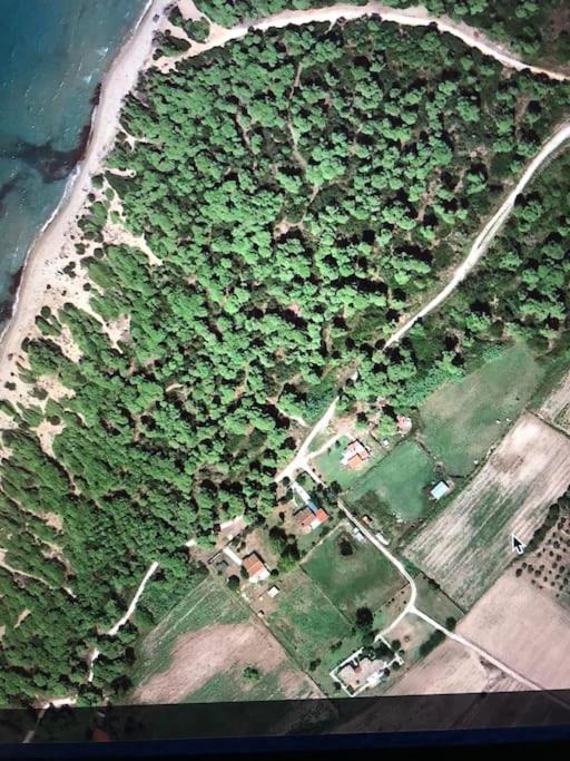 Villa Anastasia! In Strofylia Pine Forest!!! Manolas Extérieur photo