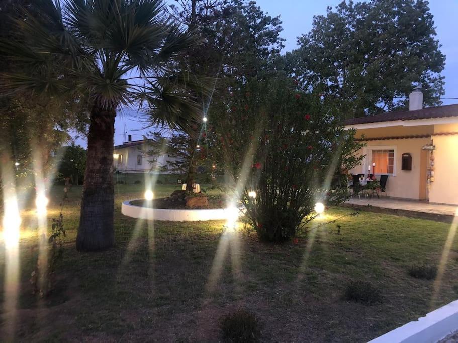Villa Anastasia! In Strofylia Pine Forest!!! Manolas Extérieur photo